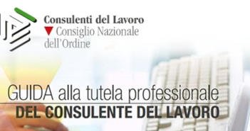 Guida alla tutela della professione di Consulente del Lavoro tutela